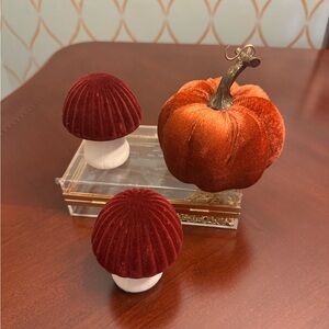 Velvet Mushroom and Pumpkin Decor Set